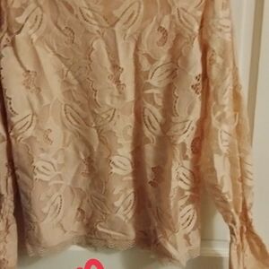 Massini Blush Lace Long Sleeve Blouse